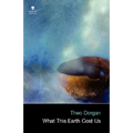 What This Earth Cost Us