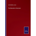 The Naturalist in Bermuda