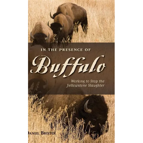 In the Presence of Buffalo: Working to Stop the Yellowstone Slaughter