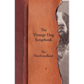 The Vintage Dog Scrapbook - The Newfoundland