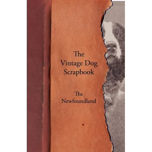 The Vintage Dog Scrapbook - The Newfoundland