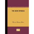 The New Spinoza: Volume 11