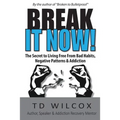 Break It Now!: The Secret to Living Free from Negative Patterns, Bad Habits & Addictions