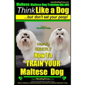 Maltese, Maltese Dog Training AAA AKC: Think Like a Dog But Don'T Eat Your Poop! Maltese Breed Expert Training: Here's EXACLTY How To TRAIN Your Malte