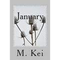 January: A Tanka Diary