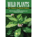 Wild Plants: The Treasure of Natural Healers