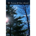 The Exercises Of Saint Gertrude: Virgin And Abbess Of The Order Of St. Benedict