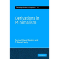 Derivations in Minimalism