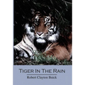 Tiger in the Rain
