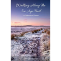 Walking Along The Ice Age Trail