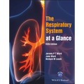 The Respiratory System at a Glance