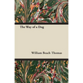 The Way of a Dog