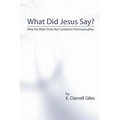 What Did Jesus Say?: Why The Bible Does Not Condemn Homosexuality