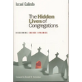 Hidden Lives of Congregations: Discerning Church Dynamics