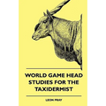 World Game Head Studies for the Taxidermist