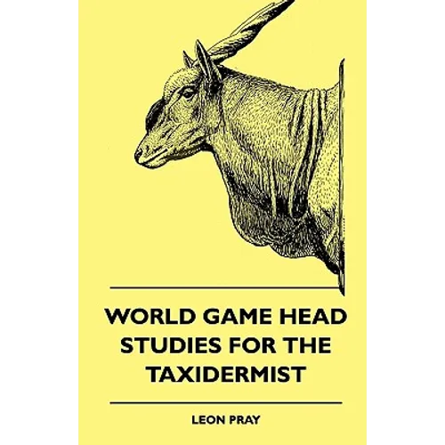 World Game Head Studies for the Taxidermist