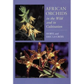 African Orchids in the Wild and in Cultivation