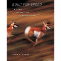 Built for Speed: A Year in the Life of Pronghorn
