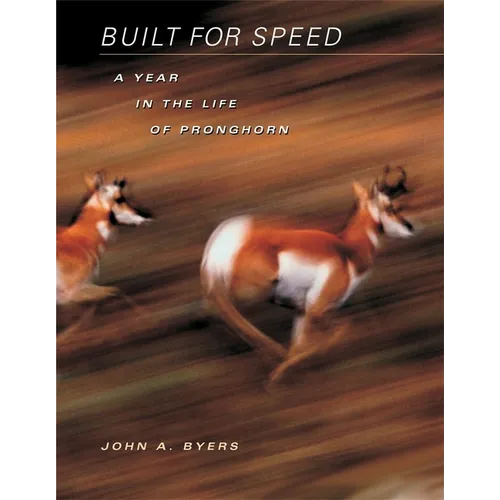Built for Speed: A Year in the Life of Pronghorn
