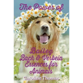 The Power of Bailey, Bach & Verbeia Essences for Animals