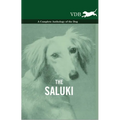 The Saluki - A Complete Anthology of the Dog