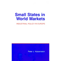 Small States in World Markets: Political Violence in Bali