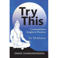 Try This: Contemplations Insights & Practices for Meditators