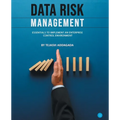Data Risk Management: Essentials to implement an Enterprise Control Environment