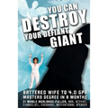 You Can Destroy Your Defiant Giant!: Battered Wife to 4.0 GPA Masters Degree in 8 Months
