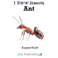 Ant