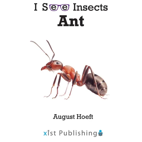 Ant
