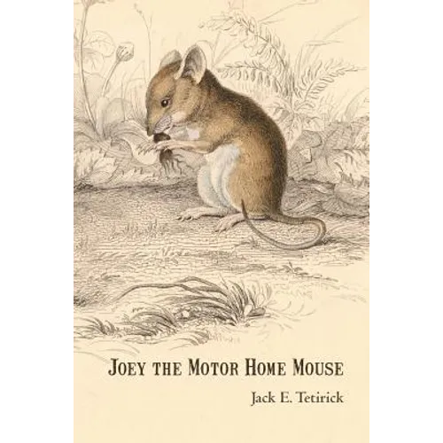 Joey the Motor Home Mouse