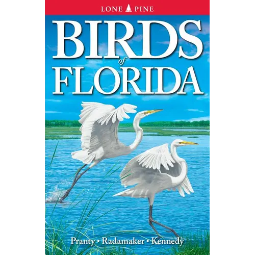 Birds of Florida