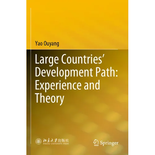 Large Countries' Development Path: Experience and Theory