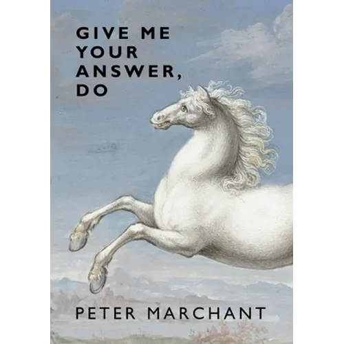 Give Me Your Answer, Do