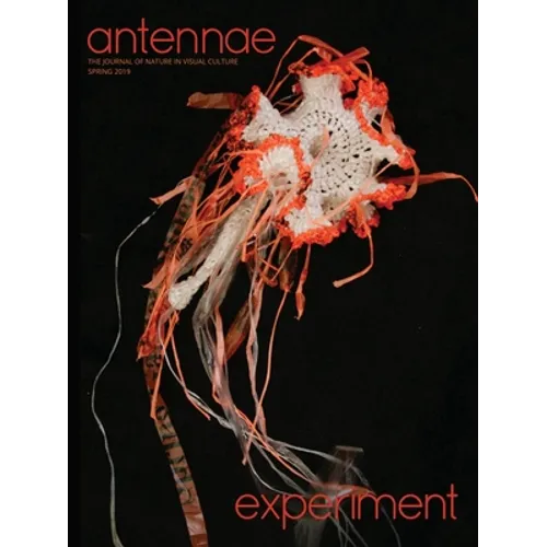 Antennae #47 Experiment