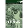 The Foxhound - A Complete Anthology of the Dog