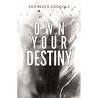 Own Your Destiny - Paperback