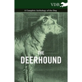 The Deerhound - A Complete Anthology of the Dog