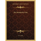 The Wonderful Visit