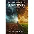 In The Midst of Adversity: A Precis of Job's Life