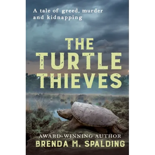 The Turtle Thieves
