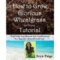 How to Grow Glorious Wheatgrass at Home Tutorial: With Salty Sea Mineral Eco-Fertilization for Superior Mineral Rich Soil