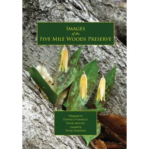 Images of the Five Mile Woods Preserve