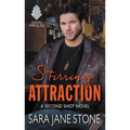 Stirring Attraction: A Second Shot Novel