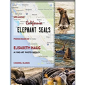 California Elephant Seals