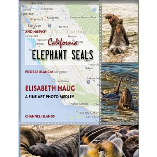 California Elephant Seals