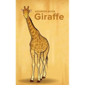 Address Book Giraffe