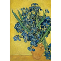 Vincent van Gogh's 'Vase with Irises Against a Yellow Background' Art of Life Jo