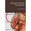Enlarge Your Penis Immediately